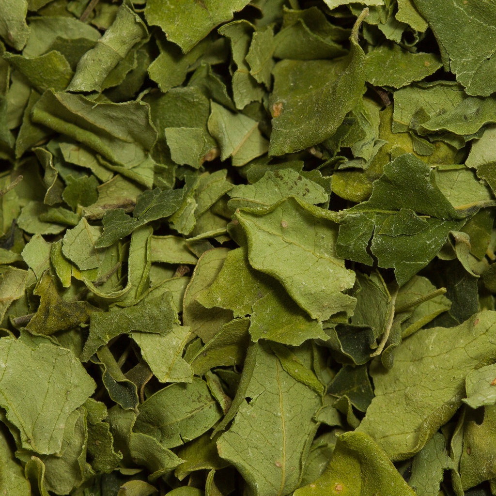 HOJA DE MORINGA DESHIDRATADA